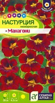 Настурция Махагони низкор. (Алтай)