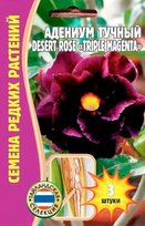 Адениум Трипл Мажента - Deset Rose Triple Magenta (комн) (Редкие)