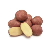 Картофель Аляска (оздоровленный) уп 5клубней