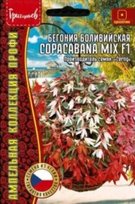 Бегония Копакабана микс F1 - Copacabana Mix боливийская (Редкие)