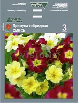 Примула Гибрид Смесь 1шт СдС