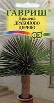Драцена Драконово дерево (комн) (Гавр)