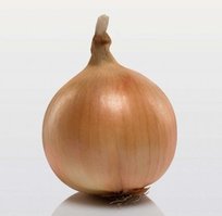 Лук Корона F1 8-21 фас по 0,5кг цена за 0,5кг