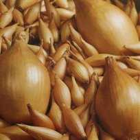 Лук Олина 8-21 фас по 0,5кг цена за 0,5кг